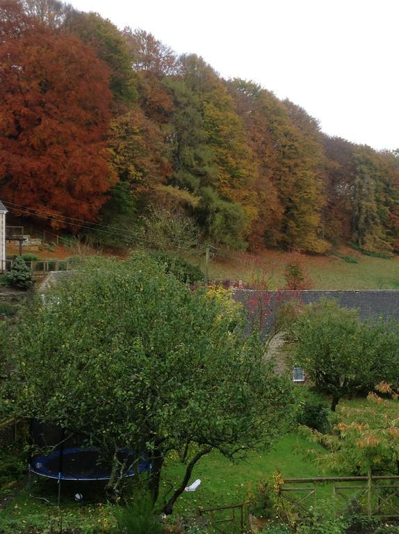Dove Cottage Bisley  Экстерьер фото