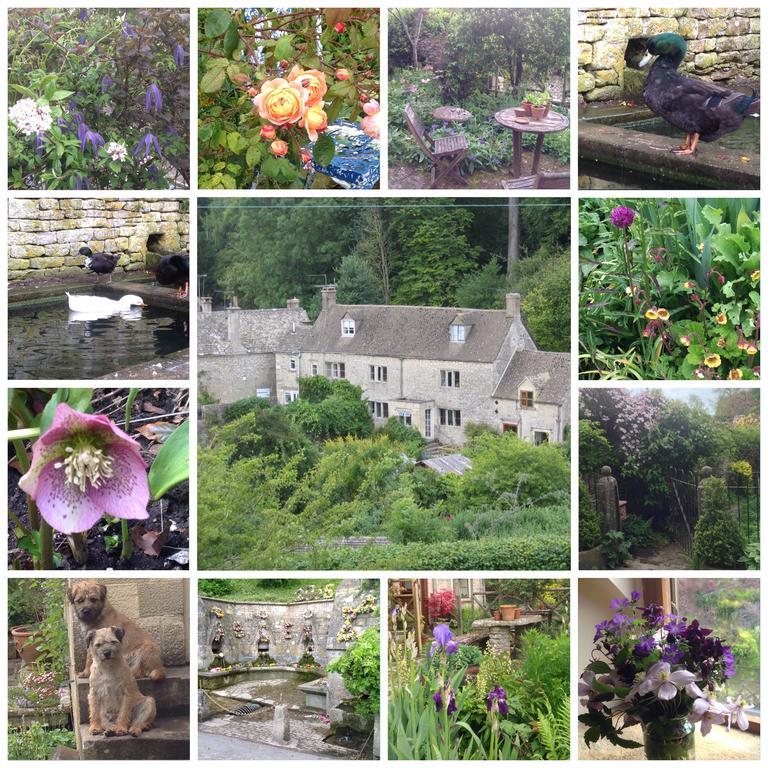 Dove Cottage Bisley  Экстерьер фото